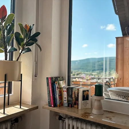 Apartment Balkon Mit Schwarzwaldblick, Hunde Frei, Tischfussball, Parkplatz, Familienfreundlich Titisee-Neustadt