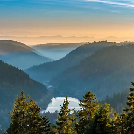 Balkon Mit Schwarzwaldblick, Hunde Frei, Tischfussball, Parkplatz, Familienfreundlich