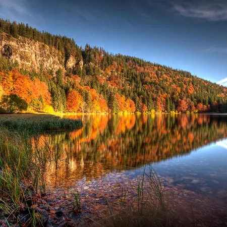 Balkon Mit Schwarzwaldblick, Hunde Frei, Tischfussball, Parkplatz, Familienfreundlich Appartement *