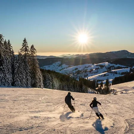 Balkon Mit Schwarzwaldblick, Hunde Frei, Tischfussball, Parkplatz, Familienfreundlich 公寓 *