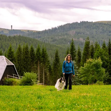 Balkon Mit Schwarzwaldblick, Hunde Frei, Tischfussball, Parkplatz, Familienfreundlich Appartement Titisee-Neustadt