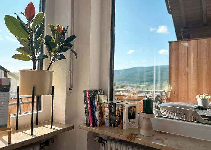 Apartamento Balkon Mit Schwarzwaldblick, Hunde Frei, Tischfussball, Parkplatz, Familienfreundlich Titisee-Neustadt