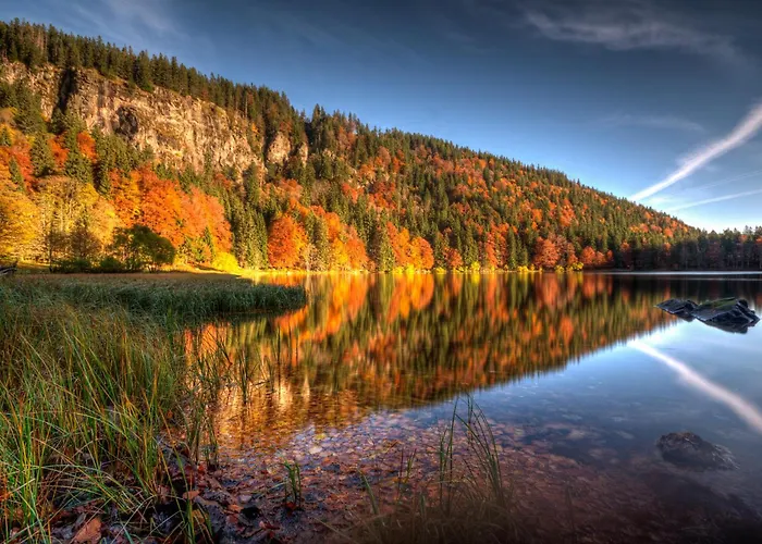 Balkon Mit Schwarzwaldblick, Hunde Frei, Tischfussball, Parkplatz, Familienfreundlich Apartamento *
