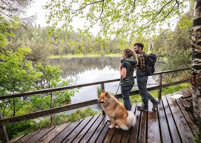 Apartamento Balkon Mit Schwarzwaldblick, Hunde Frei, Tischfussball, Parkplatz, Familienfreundlich Titisee-Neustadt