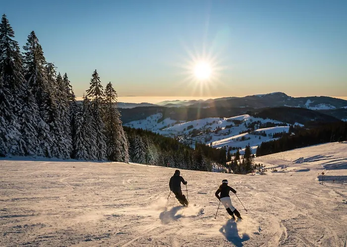 Balkon Mit Schwarzwaldblick, Hunde Frei, Tischfussball, Parkplatz, Familienfreundlich Apartamento *